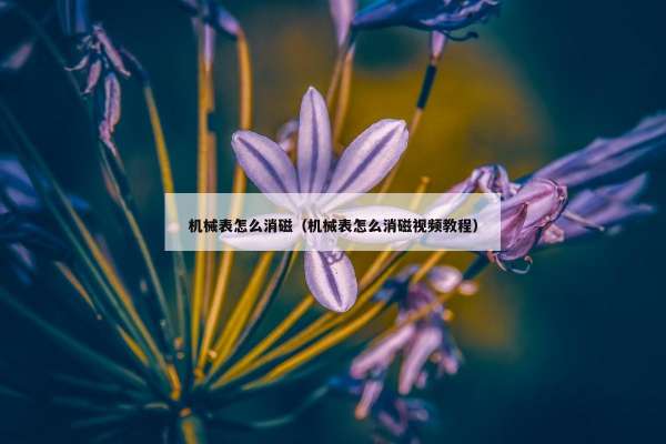 机械表怎么消磁（机械表怎么消磁视频教程）