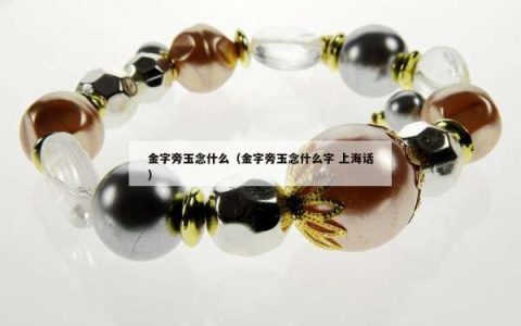 金字旁玉念什么（金字旁玉念什么字 上海话）