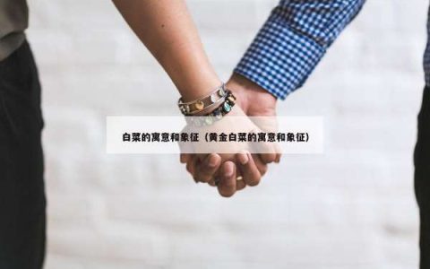 白菜的寓意和象征（黄金白菜的寓意和象征）