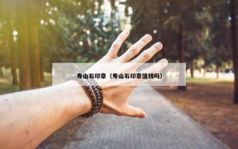 寿山石印章（寿山石印章值钱吗）