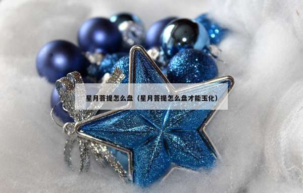 星月菩提怎么盘（星月菩提怎么盘才能玉化）