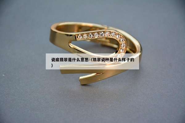 瓷底翡翠是什么意思（翡翠瓷种是什么样子的）