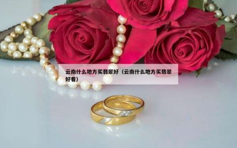 云南什么地方买翡翠好（云南什么地方买翡翠好看）