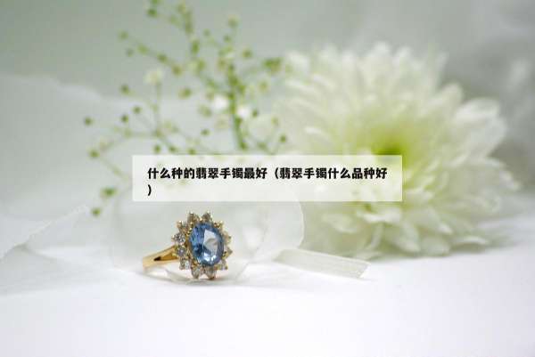 什么种的翡翠手镯最好（翡翠手镯什么品种好）