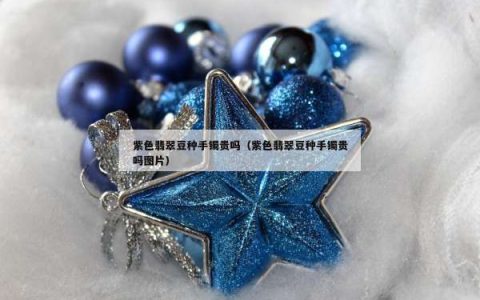 紫色翡翠豆种手镯贵吗（紫色翡翠豆种手镯贵吗图片）