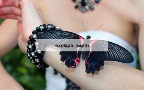 fab介绍戒指（fal戒指）