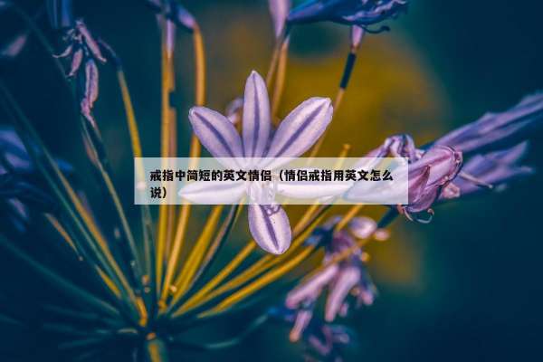 戒指中简短的英文情侣（情侣戒指用英文怎么说）