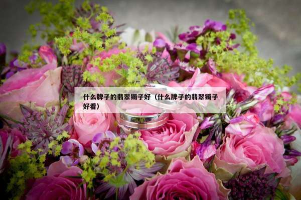 什么牌子的翡翠镯子好（什么牌子的翡翠镯子好看）