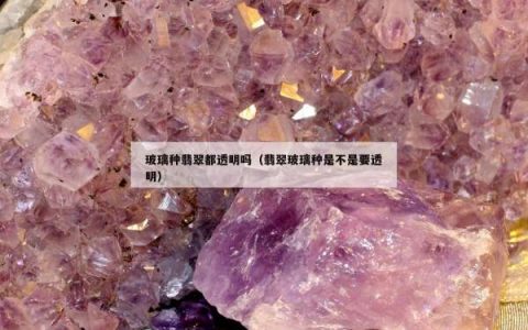 玻璃种翡翠都透明吗（翡翠玻璃种是不是要透明）