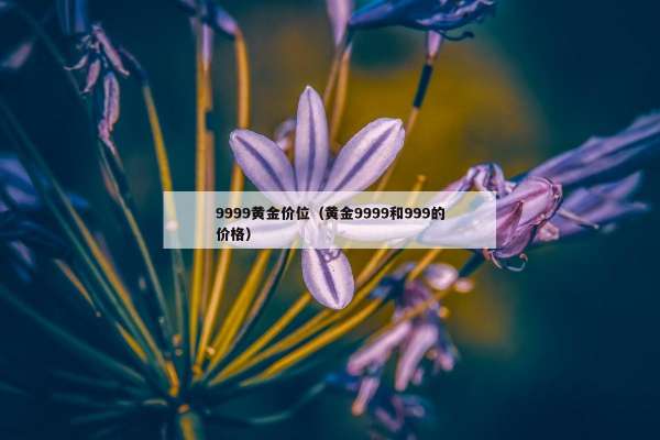 999黄金价位（黄金9999和999的价格）"