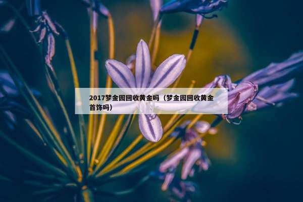 017梦金园回收黄金吗（梦金园回收黄金首饰吗）"