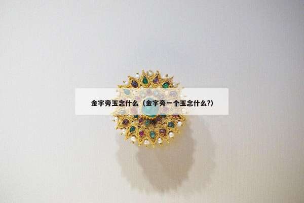 金字旁玉念什么（金字旁一个玉念什么?）