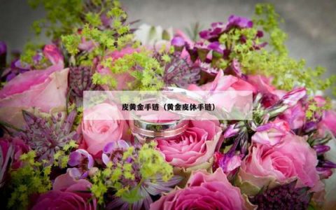 皮黄金手链（黄金皮休手链）