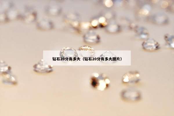 钻石20分有多大（钻石20分有多大图片）