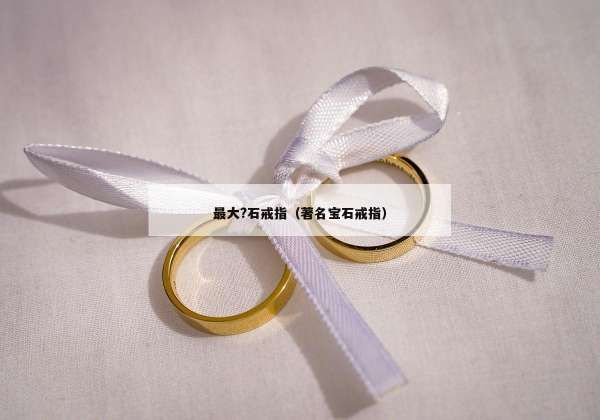 最大?石戒指（著名宝石戒指）