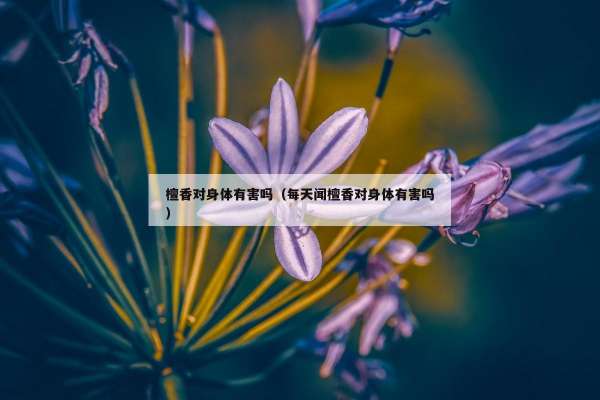 檀香对身体有害吗（每天闻檀香对身体有害吗）
