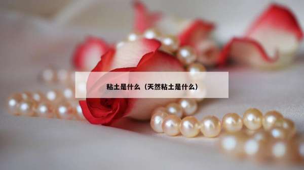 粘土是什么（天然粘土是什么）