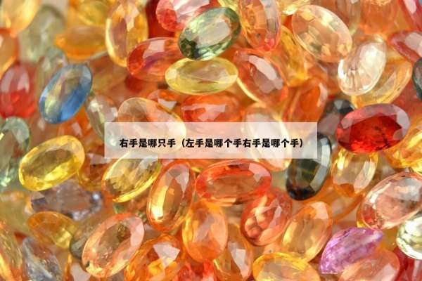 右手是哪只手（左手是哪个手右手是哪个手）