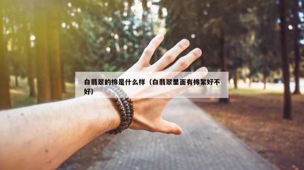 白翡翠的棉是什么样（白翡翠里面有棉絮好不好）