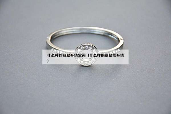 什么种的翡翠升值空间（什么样的翡翠能升值）