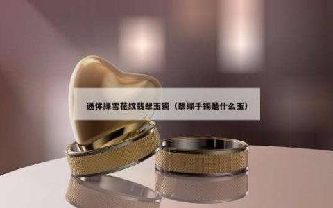 通体绿雪花纹翡翠玉镯（翠绿手镯是什么玉）