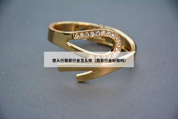 想入行翡翠行业怎么样（翡翠行业好做吗）