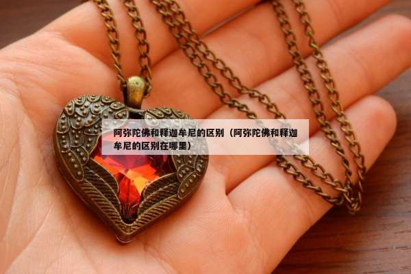 阿弥陀佛和释迦牟尼的区别（阿弥陀佛和释迦牟尼的区别在哪里）