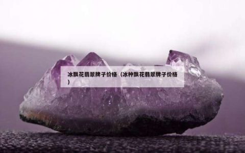 冰飘花翡翠牌子价格（冰种飘花翡翠牌子价格）