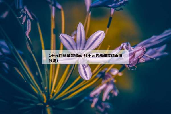 千元的翡翠金镶玉（1千元的翡翠金镶玉值钱吗）"