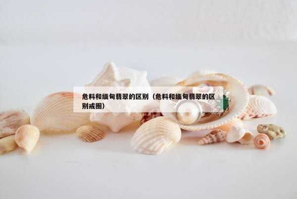 危料和缅甸翡翠的区别（危料和缅甸翡翠的区别戒圈）