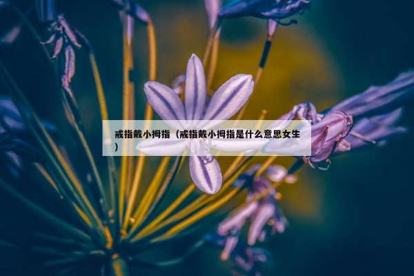 戒指戴小拇指（戒指戴小拇指是什么意思女生）