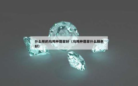 什么样的乌鸡种翡翠好（乌鸡种翡翠什么颜色好）