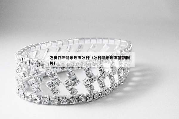 怎样判断翡翠原石冰种（冰种翡翠原石鉴别图片）