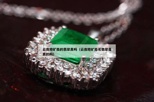 云南地矿局的翡翠真吗（云南地矿局买翡翠是真的吗）