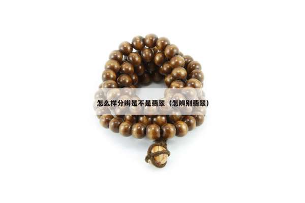 怎么样分辨是不是翡翠（怎辨别翡翠）