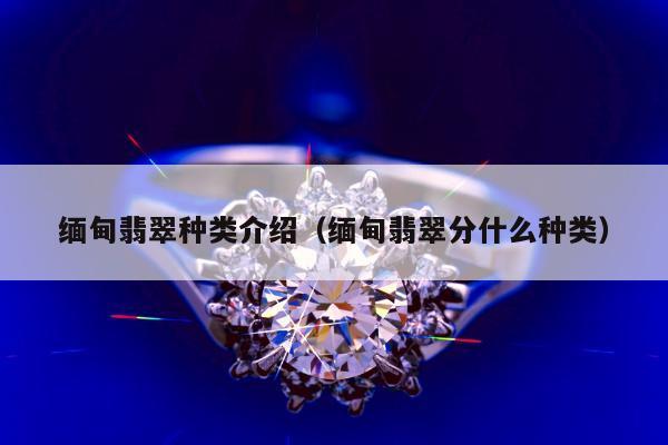 缅甸翡翠种类介绍，缅甸翡翠分什么种类