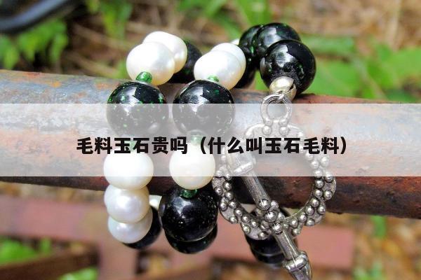 毛料玉石贵吗，什么叫玉石毛料