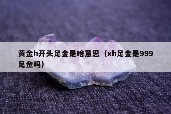 黄金h开头足金是啥意思，xh足金是999足金吗