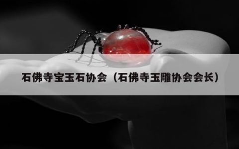 石佛寺宝玉石协会，石佛寺玉雕协会会长