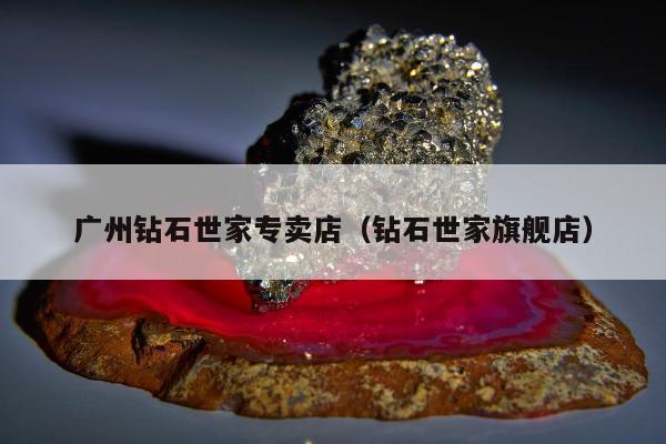 广州钻石世家专卖店，钻石世家旗舰店