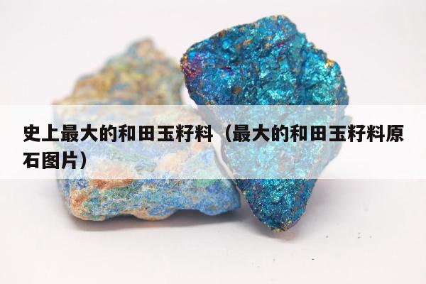 史上最大的和田玉籽料，最大的和田玉籽料原石图片