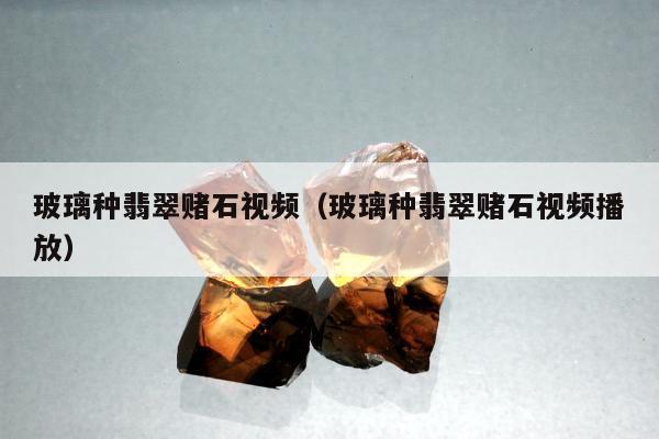 玻璃种翡翠赌石视频，玻璃种翡翠赌石视频播放