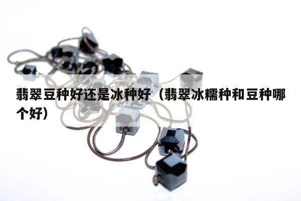 翡翠豆种好还是冰种好，翡翠冰糯种和豆种哪个好