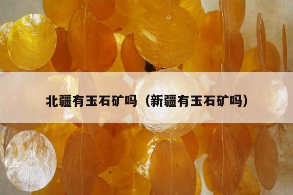 北疆有玉石矿吗，新疆有玉石矿吗