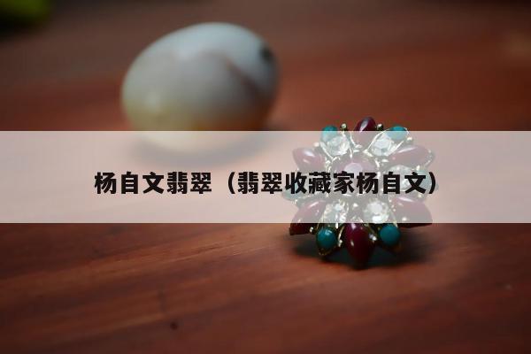 杨自文翡翠，翡翠收藏家杨自文