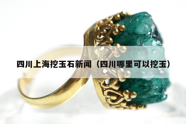 四川上海挖玉石新闻，四川哪里可以挖玉
