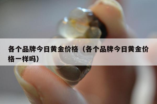 各个品牌今日黄金价格，各个品牌今日黄金价格一样吗
