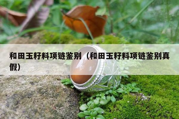 和田玉籽料项链鉴别，和田玉籽料项链鉴别真假