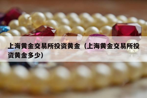 上海黄金交易所投资黄金，上海黄金交易所投资黄金多少