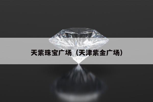 天紫珠宝广场，天津紫金广场